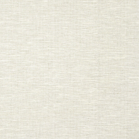 T14561 SPIRO Off White
Thibaut Wallpaper