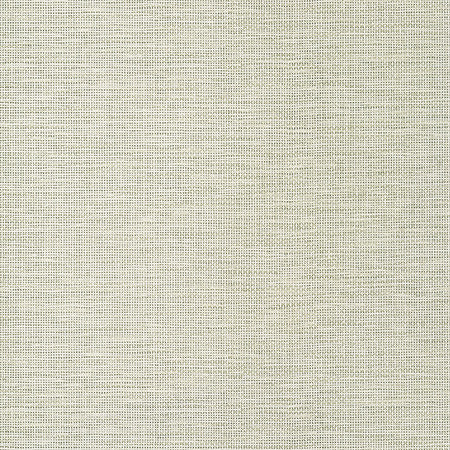 T14563 SPIRO Taupe Thibaut Wallpaper