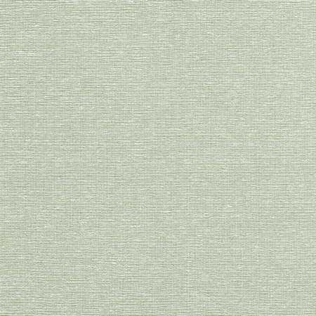 T19703 EDWARD'S PAPER Green Thibaut Wallpaper