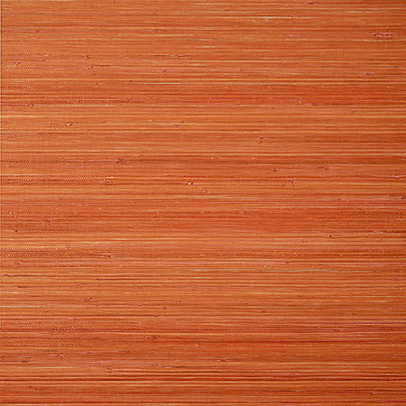 T24072 RAFFIA PALM Orange Thibaut Wallpaper