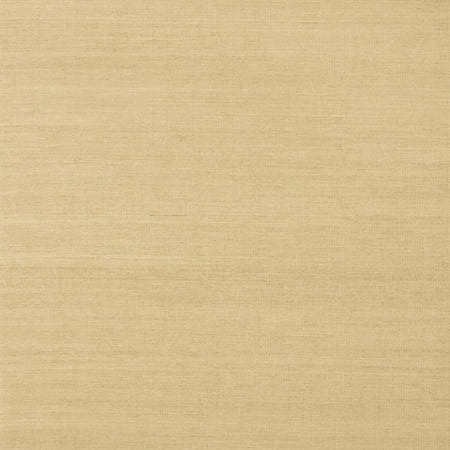 T5031 SHANG EXTRA FINE SISAL Taupe Thibaut Wallpaper
