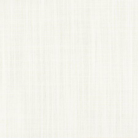 W8551 RIMINI Parchment Thibaut Fabric