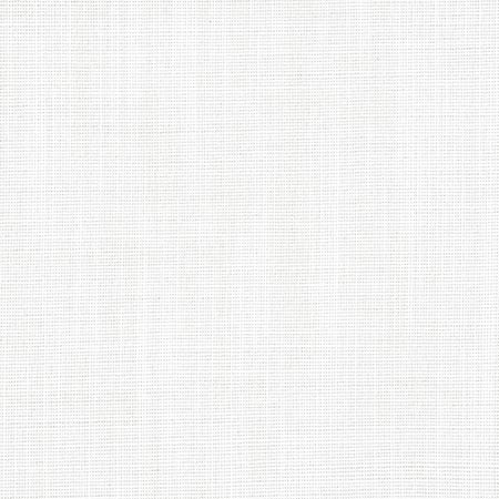 W8553 RIMINI Platinum Thibaut Fabric