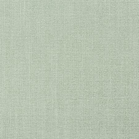 W8717 VEDA Aloe Thibaut Fabric