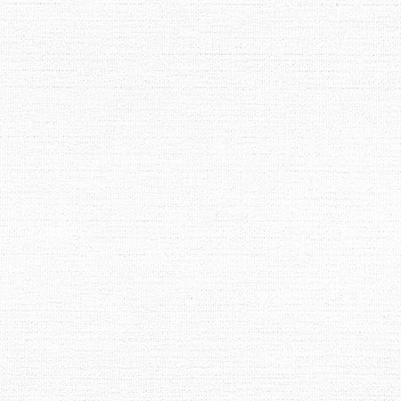 W8736 PETRA Bleach White Thibaut Fabric