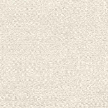 W8737 PETRA Almond Thibaut Fabric