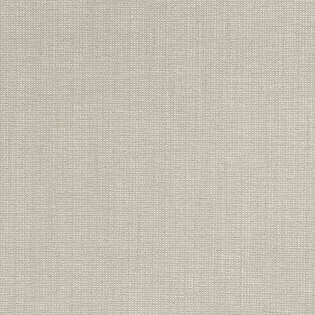 W8755 SACCHI Stone Thibaut Fabric