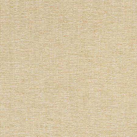 W8756 SACCHI Caramel Thibaut Fabric