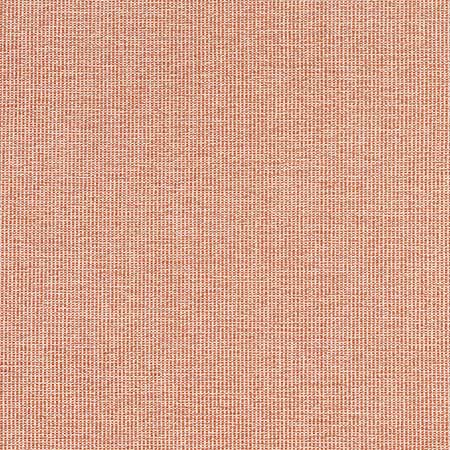 W8761 SACCHI Terracotta Thibaut Fabric
