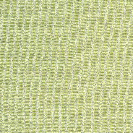 W8763 SACCHI Leaf Thibaut Fabric