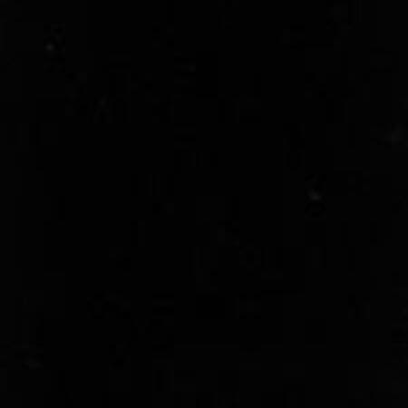 010009T VILLA VELVET Black Quadrille Fabric