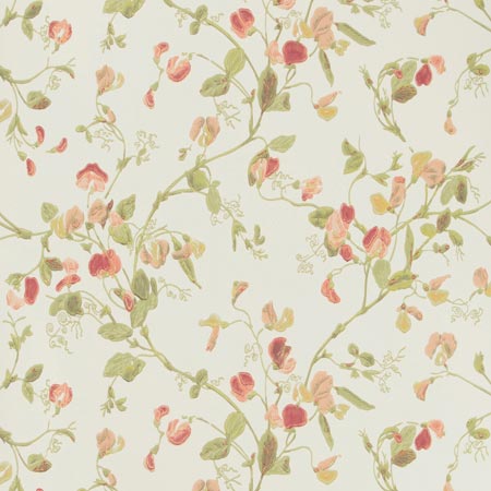 100/6028-CS SWEET PEA Pink Cole & Son Wallpaper