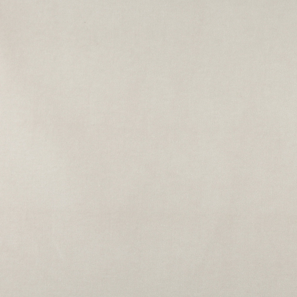 10000-01 Plain & Solid nan White & Ivory Charlotte Select