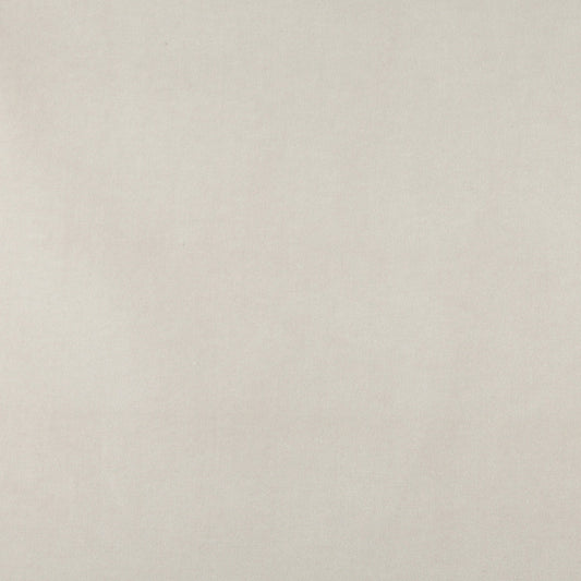10000-01 Plain & Solid nan White & Ivory Charlotte Select