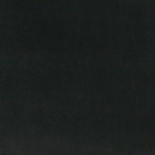 10000-03 Plain & Solid nan Black Charlotte Select