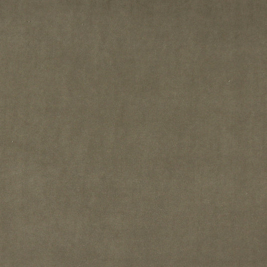 10000-04 Plain & Solid nan Beige & Taupe Charlotte Select