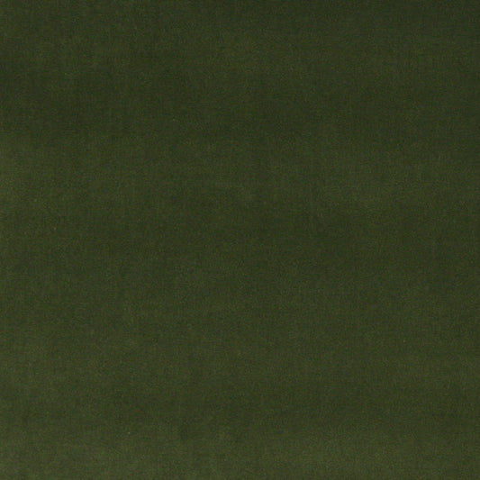 10000-07 Plain & Solid nan Green Charlotte Select