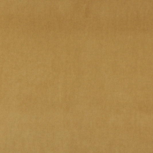 10000-08 Plain & Solid nan Gold & Yellow Charlotte Select