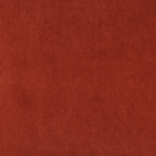 10000-11 Plain & Solid nan Orange & Rust Charlotte Select