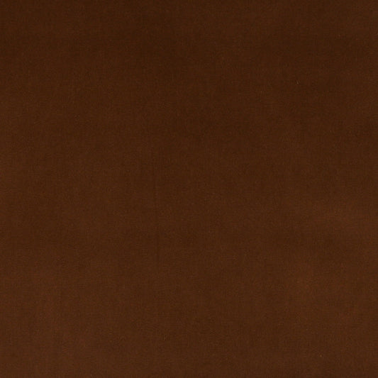 10000-12 Plain & Solid nan Brown Charlotte Select