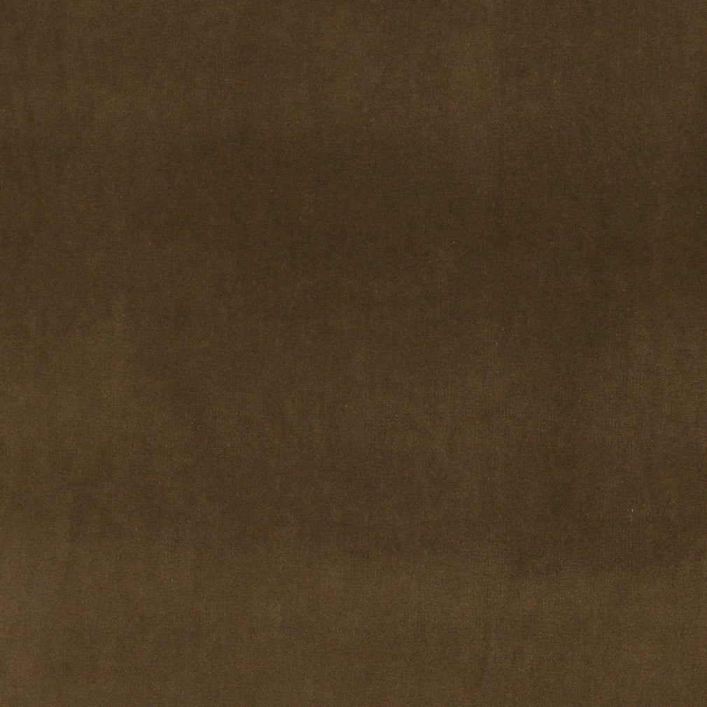 10000-15 Plain & Solid nan Brown Charlotte Select