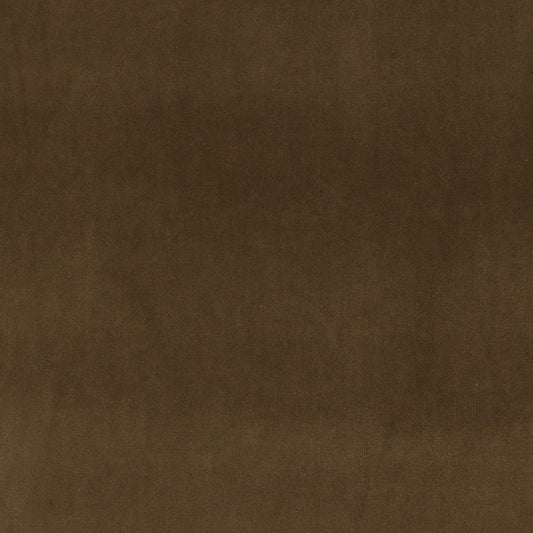 10000-15 Plain & Solid nan Brown Charlotte Select