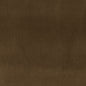 10000-15 Plain & Solid nan Brown Charlotte Select