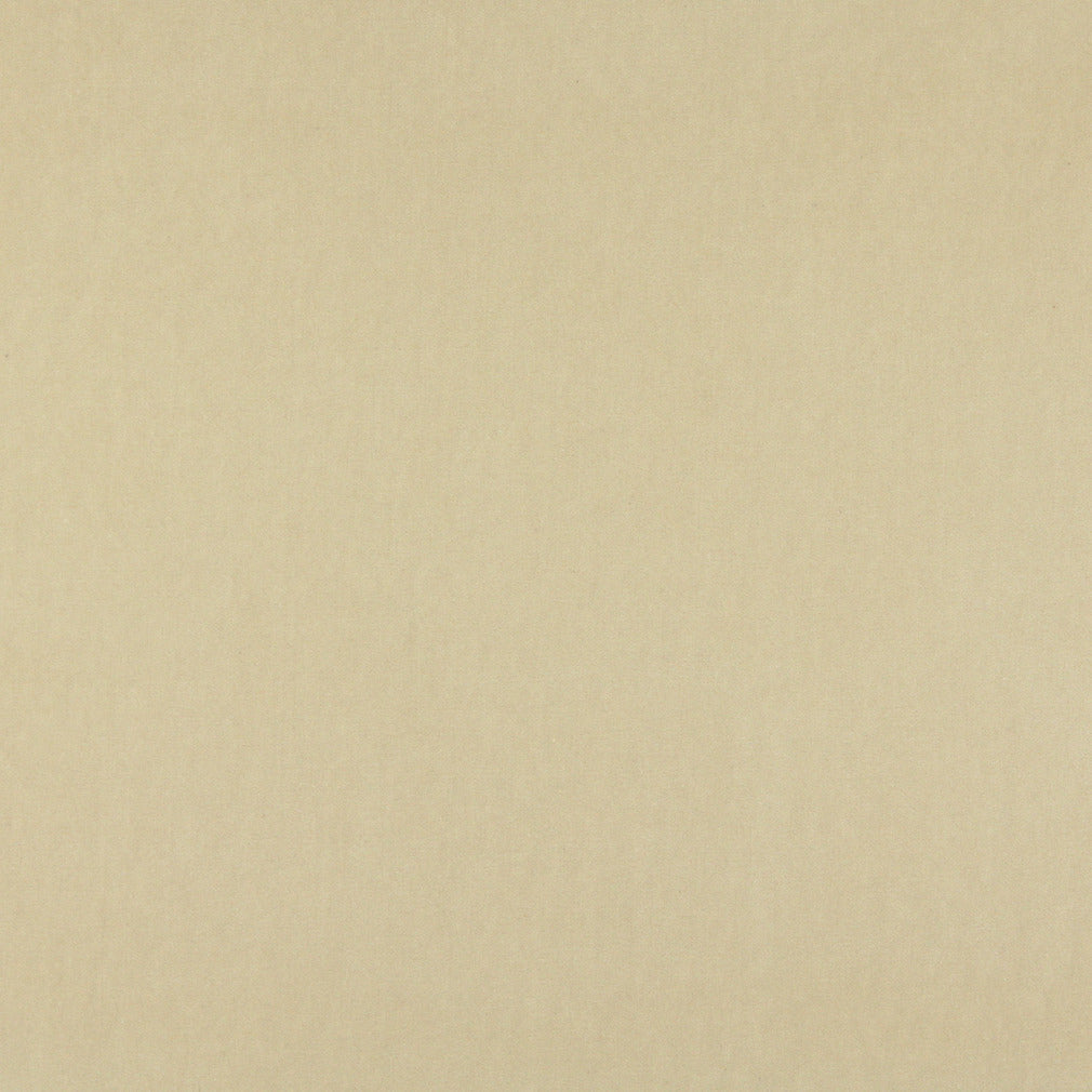 10000-16 Plain & Solid nan Beige & Taupe Charlotte Select