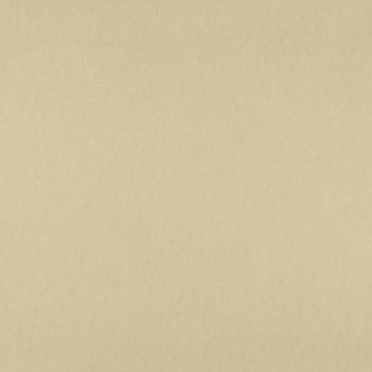 10000-16 Plain & Solid nan Beige & Taupe Charlotte Select