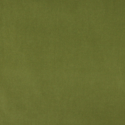10000-17 Plain & Solid nan Green Charlotte Select