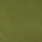 10000-17 Plain & Solid nan Green Charlotte Select
