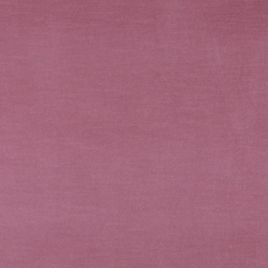 10001-02 Plain & Solid nan Pink Charlotte Select