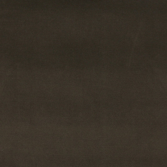10001-03 Plain & Solid nan Brown Charlotte Select