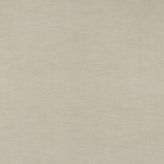 10001-04 Plain & Solid nan Beige & Taupe Charlotte Select