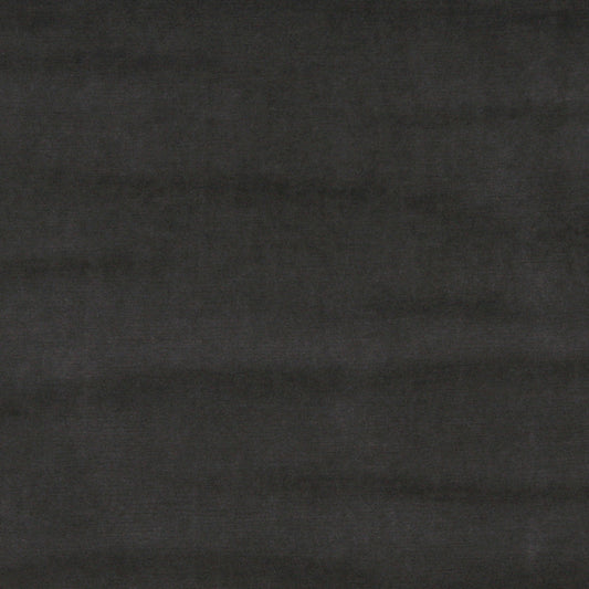 10001-06 Plain & Solid nan Grey & Silver Charlotte Select