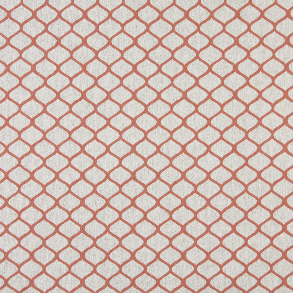 10005-03 Abstract & Geometric nan Coral & Peach Charlotte Select