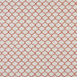 10005-03 Abstract & Geometric nan Coral & Peach Charlotte Select