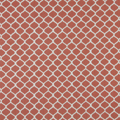 10008-03 Abstract & Geometric nan Coral & Peach Charlotte Select