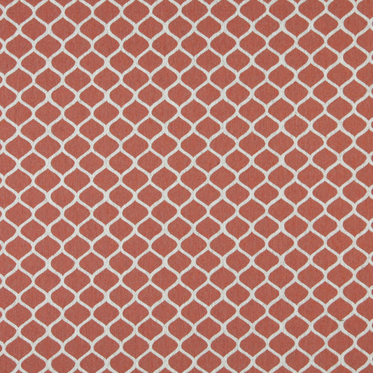 10008-03 Abstract & Geometric nan Coral & Peach Charlotte Select