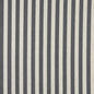 10009-02 Stripe nan Grey & Silver Charlotte Select