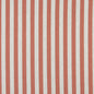 10009-03 Stripe nan Coral & Peach Charlotte Select