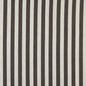 10009-04 Stripe nan Brown Charlotte Select
