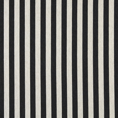 10009-07 Stripe nan Black Charlotte Select