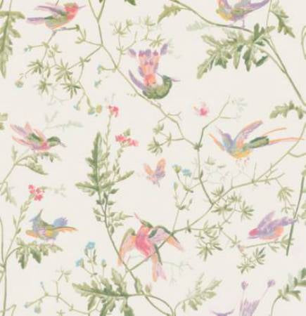 100/14067-CS HUMMINGBIRDS Soft Multi-Colour Cole & Son Wallpaper