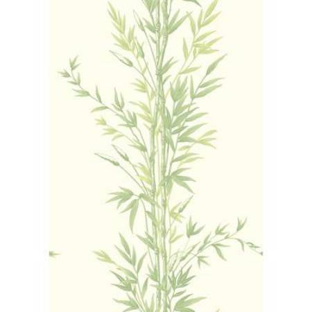 100/5023-CS BAMBOO Green Cole & Son Wallpaper