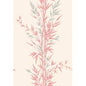 100/5024-CS BAMBOO Pink Cole & Son Wallpaper