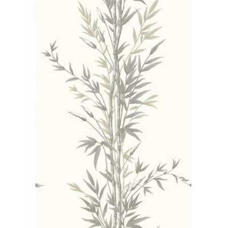 100/5025-CS BAMBOO Charcoal Cole & Son Wallpaper