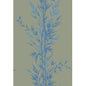 100/5026-CS BAMBOO Blue On Khaki Cole & Son Wallpaper