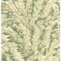 100/1003-CS FLORENCECOURT Olive Cole & Son Wallpaper