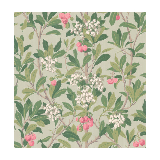 100/10048-CS STRAWBERRY TREE PINK & DUCK EGG COLE & SON Wallpaper